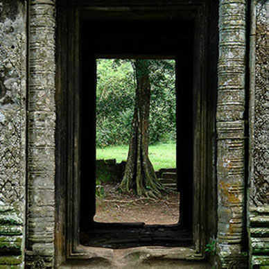 Photo by Flickr user David Hogan Creative Commons copyright