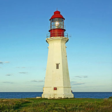 Photo by Flickr user Dennis Jarvis Creative Commons Copyright