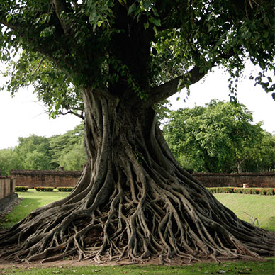 Photo by Gael Davaux - Flicker Creative commons copyright