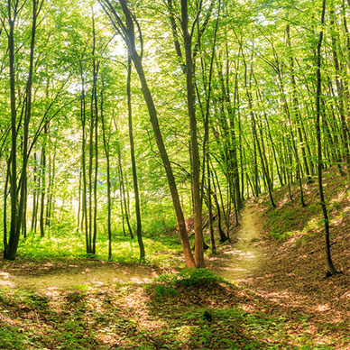 Photo by Originalni Digitalni - Flicker Creative commons copyright