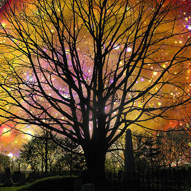 Photo by Russ Seidel - Flicker Creative commons copyright