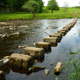 Photo by Flickr user Sue Bristol Creative Commons copyright