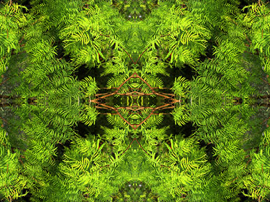 Photo by Flickr user Jason Samfield Creative Commons copyright