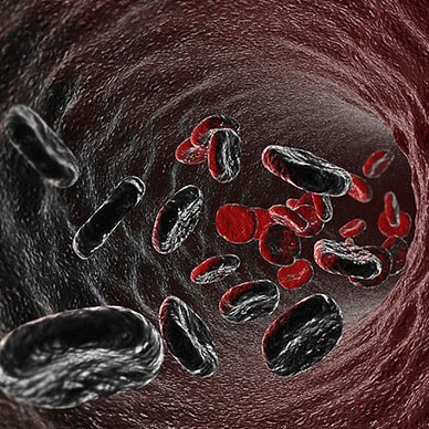 Photo by Flickr user Luis Vasquez Creative Commons Copyright