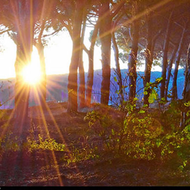 Photo by Flickr user Moyan Bren Creative Commons copyright