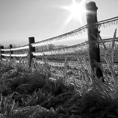 Photo by Flickr user Ray Dumas Creative Commons copyright