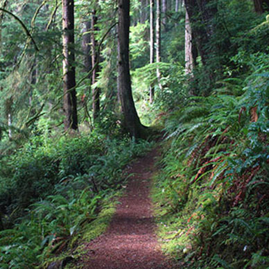 Photo by Flickr user Richard O'Neill Creative Commons copyright