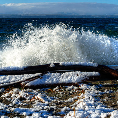 Photo by Flickr user Scott Smithson Creative Commons Copyright