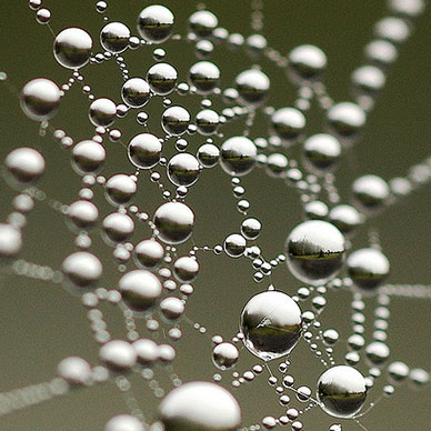 Photo by Flickr user Doug Cockburn Creative Commons Copyright