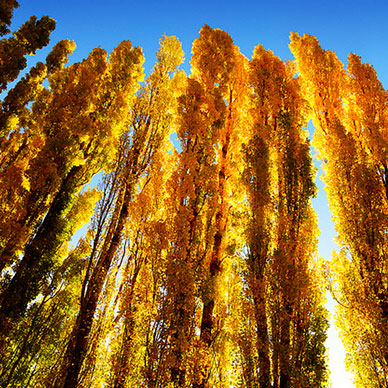 Photo by Flickr user Martin Heigan Creative Commons Copyright