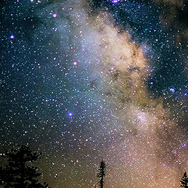 Photo by Flickr user jason jenkins - Creative Commons Copyright