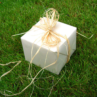 Photo by Marcello eM - FreeImages.com Content License