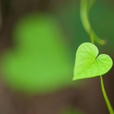 Photo by Flickr user Vinoth Chandar - Creative Commons Copyright