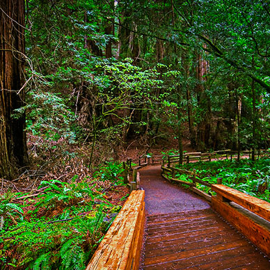 Photo by Flickr user jason jenkins - Creative Commons Copyright