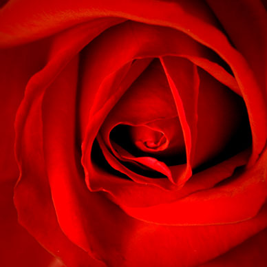 Photo by Flickr user 3SSL33- Creative Commons Copyright