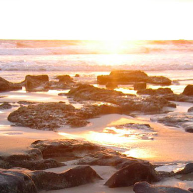 Photo by Flickr user Jiaren Lau - Creative Commons Copyright