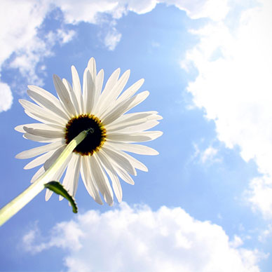 Photo by Flickr user follow these instructions - Creative Commons Copyright