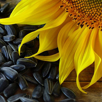 Photo by Flickr user www.tOrange.biz Valdemar Fishmen - Creative Commons Copyright