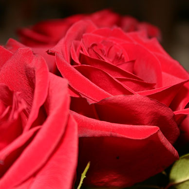 Photo by Flickr user ECohen - Creative Commons Copyright