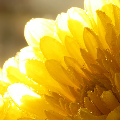 Photo by Flickr user John Morgan - Creative Commons Copyright