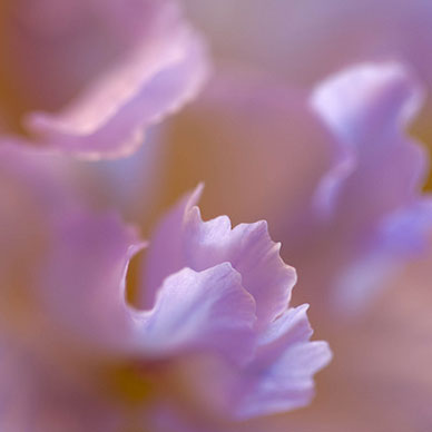 Photo by Flickr user jar [away] - Creative Commons Copyright