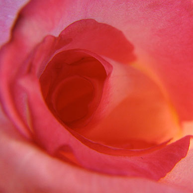 Photo by Flickr user Audrey -Creative Commons Copyright