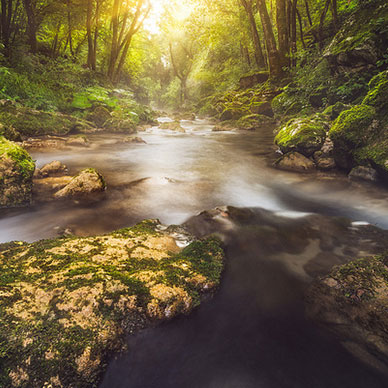 Photo by Flickr user Daniel Zedda - Creative Commons Copyright