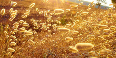 Photo by Flickr user Moyan-Brenn - Creative Commons Copyright