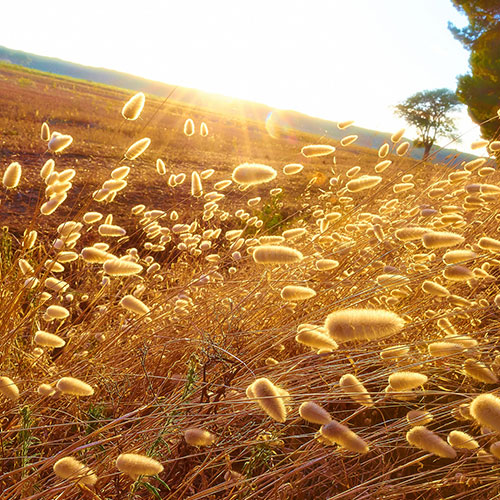 Photo by Flickr user Moyan-Brenn - Creative Commons Copyright