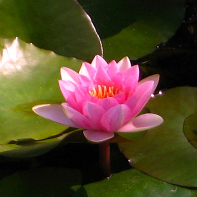 Photo by Flickr user miheco - Creative Commons Copyright