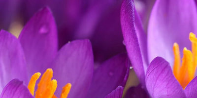 Photo by Flickr user easyflow - Creative Commons Copyright