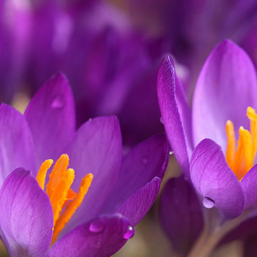 Photo by Flickr user easyflow - Creative Commons Copyright