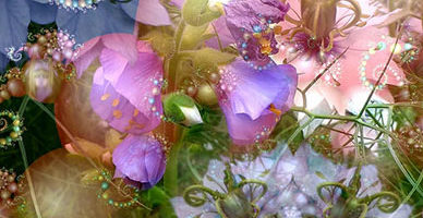 Photo by Flickr user skagitrenee - Creative Commons Copyright