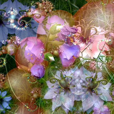 Photo by Flickr user skagitrenee - Creative Commons Copyright