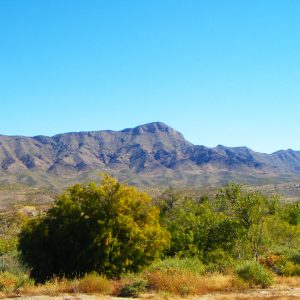 Photo by Tim Kuzdrowski Creative Commons Copyright