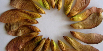 Photo by Flickr user Chris Darling - Creative Commons Copyright