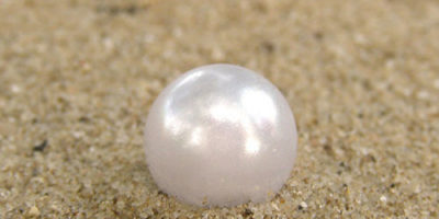 Photo by Flickr user amboo who? - Creative Commons Copyright