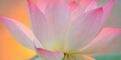 Photo by Flickr user maf04 - Creative Commons Copyright