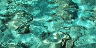 Photo by Flickr user C Harsha K R - Creative Commons Copyright