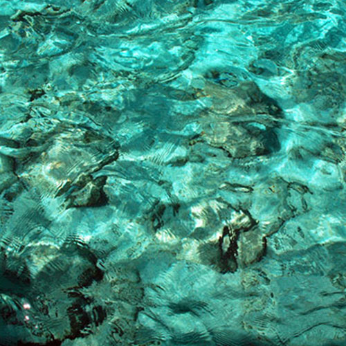 Photo by Flickr user C Harsha K R - Creative Commons Copyright