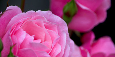 Photo by Flickr user Travis Juntara - Creative Commons Copyright