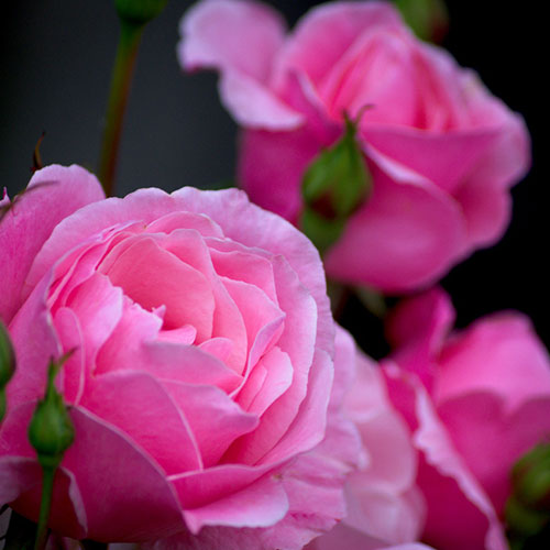 Photo by Flickr user Travis Juntara - Creative Commons Copyright