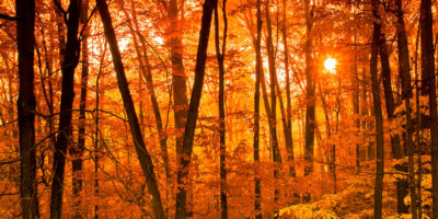 Photo by Flickr user Slack12 Creative Commons copyright