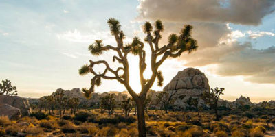 Photo by Flickr user Christopher Michel - Creative Commons Copyright