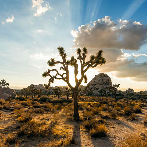 Photo by Flickr user Christopher Michel - Creative Commons Copyright