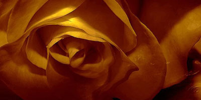 Delphine Devos - Creative Commons Copyright