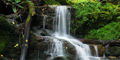 Photo by Flickr user Nicholas A. Tonelli - C Creative Commons Copyright