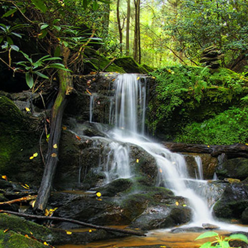 Photo by Flickr user Nicholas A. Tonelli - C Creative Commons Copyright