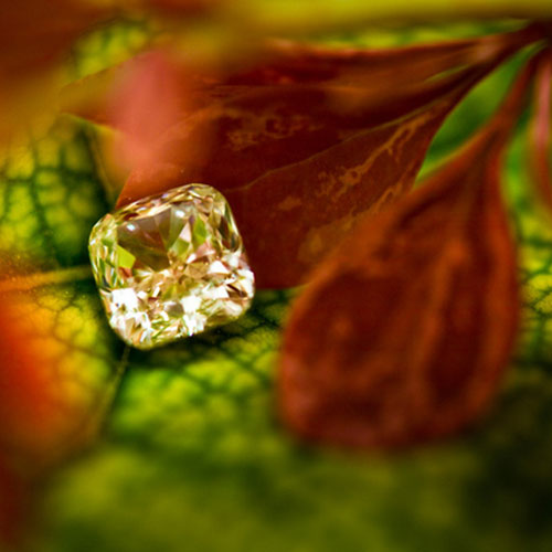 Photo by Flickr user Seth Lemmons - Creative Commons Copyright