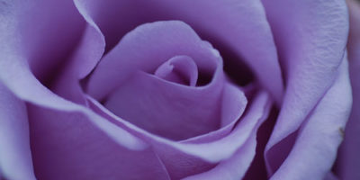 Photo by Flickr user Carolyn Jewel-- Creative Commons Copyright